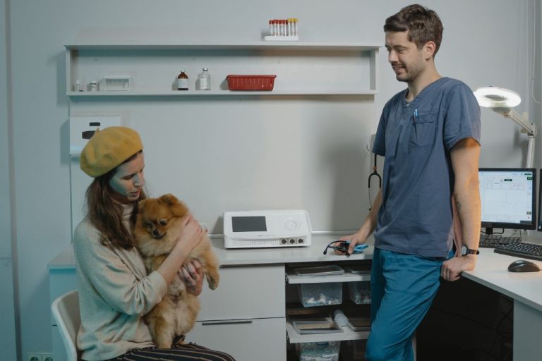 pacientes clínica veterinaria